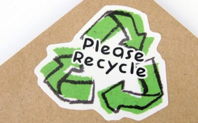 How Sustainability Can Improve Your Business Performance