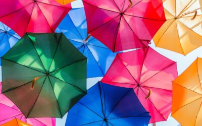 Keeping Your Cash Flow Strong When Business Slows