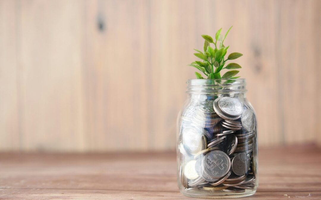 Cashflow, in plain English: what your bank balance is trying to tell you